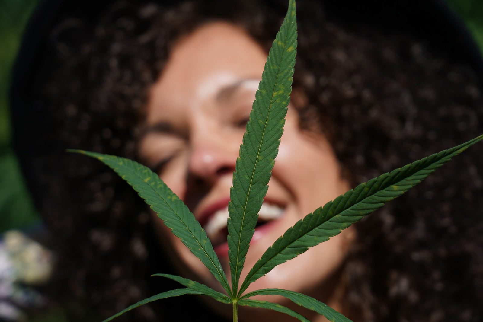 Daily Repair Face Cream: How Hemp Extract Works With Your Skin’s Own System