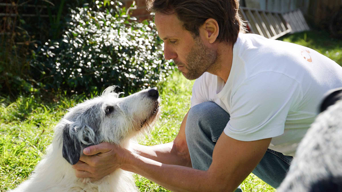 Dogs were always a part of the story.
