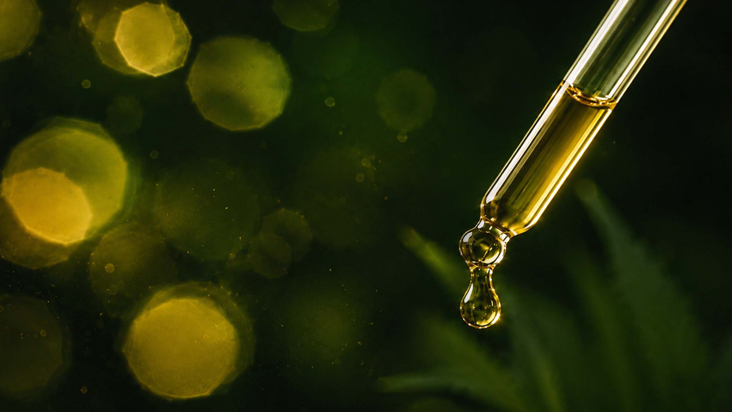 What is hemp seed oil? (How it differs from CBD oil).