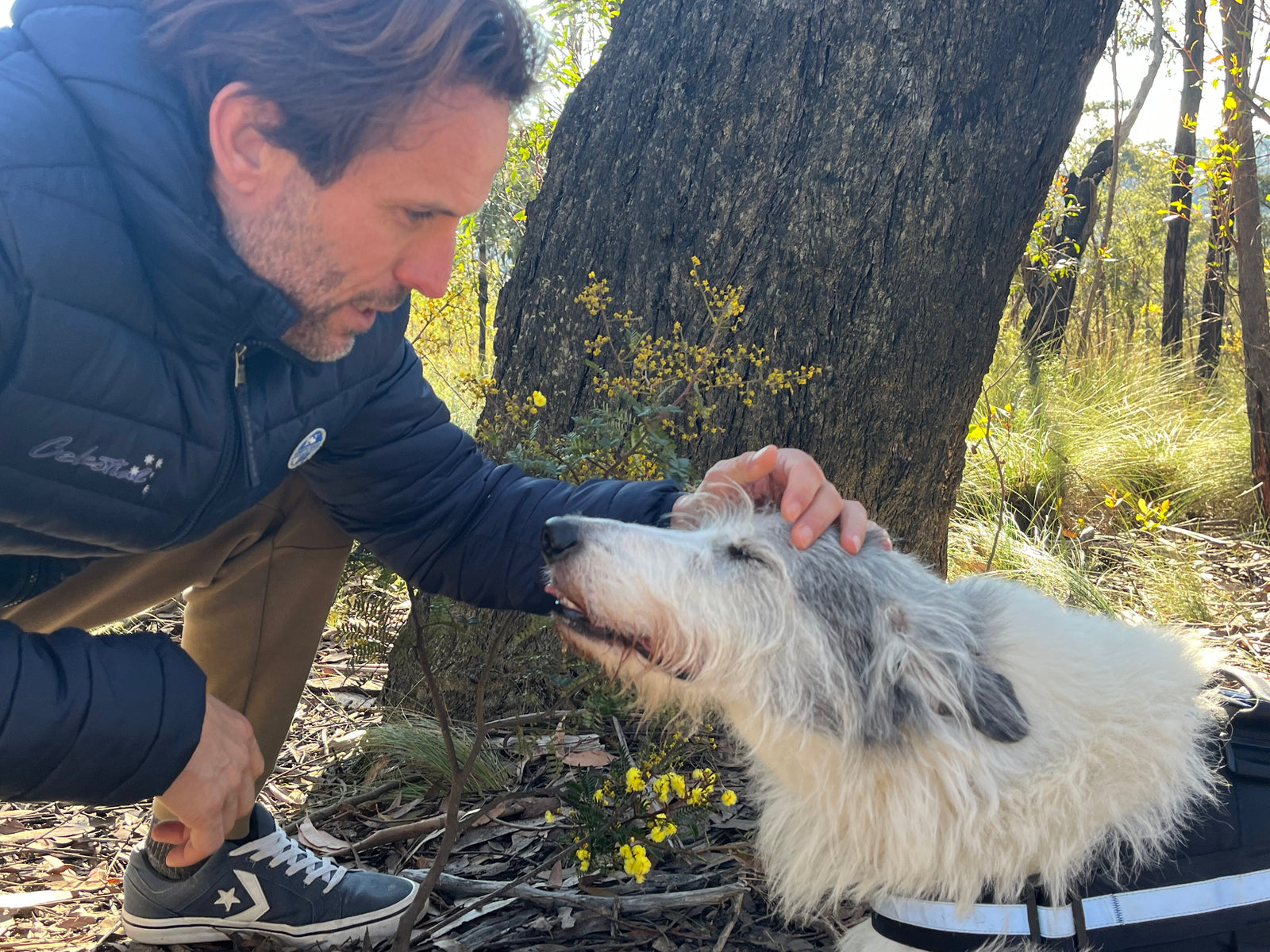 The Cannafox Story: From Our Family to Yours